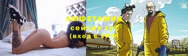 метадон Алексин