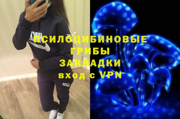 соль ск Алексеевка