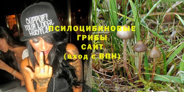 соль ск Алексеевка