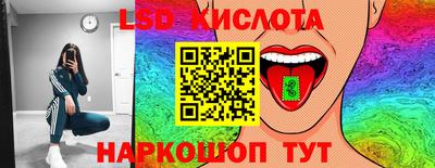 ECSTASY Гай