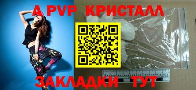 ECSTASY Гай