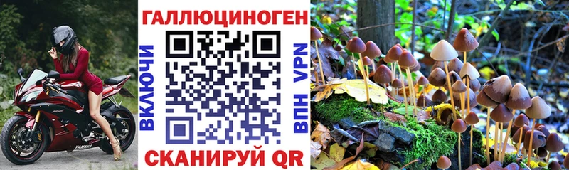 Галлюциногенные грибы MAGIC MUSHROOMS  Лабытнанги 