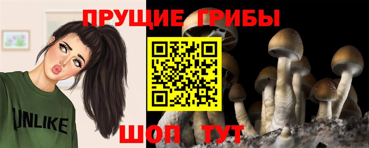ГАШИШ Лабытнанги